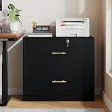 GFGWXW 2 Drawer Lateral File Cabinet with Lock, Suitable for Letter/A4/F4/Legal Size Hanging Files,Large Wood Filing Storage Cabinets Printer Stand for Home Office,Black