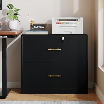GFGWXW 2 Drawer Lateral File Cabinet with Lock, Suitable for Letter/A4/F4/Legal Size Hanging Files,Large Wood Filing Storage Cabinets Printer Stand for Home Office,Black