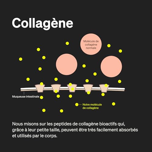 Collagene et Acide Hyaluronique – 180 gélules – Enrichi en Vitamine C, Biotine, Zinc & Sélénium – 1000mg de Collagène – Testé en Laboratoire, Hautement Dosé & Sans Additifs – Image 7