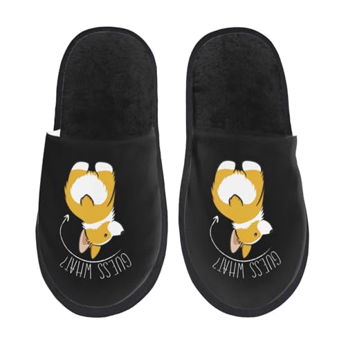 [ZOOKISS] 킢 R[M[  (1) Xbp  Y  fB[X ~ 킢 qp 􂦂 gC p E Xbpjp LN^[ ObY lC Aj v[g M