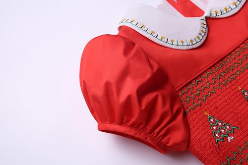 Girl Christmas Winter Red Smocked Dress Size 2 3 4 5 6 8 10 12 Years Toddler Kids Birthday Smock Clothes3