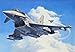 Revell of Germany Eurofighter Typhoon Twinseater Plastic Model Kit
