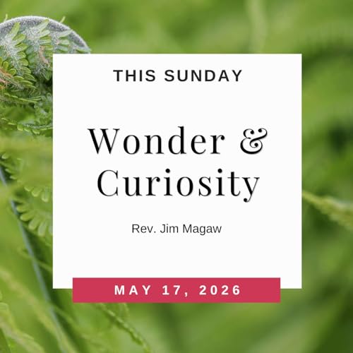 Curiosity & Wonder