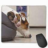 jack russell terrier zucht Paket enthalten: 1 * Mauspad. Gaming Mouse Pad, Premium-strukturierte Mouse Mat Pads, süßes Mousepad für Spieler, Büro und Zuhause Schöne neugeborene Jack Russel Terrier Welpen schlafen süß