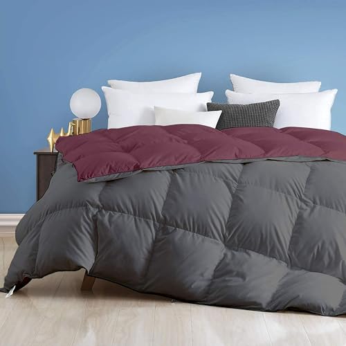 Image of Day Care - 400 GSM Hotel Quality-Down Alternative Reversible Comforter (90 inch x 90 inch Inches /228cm x 228cm) - Comforter Queen Size|Wine /Dark Grey