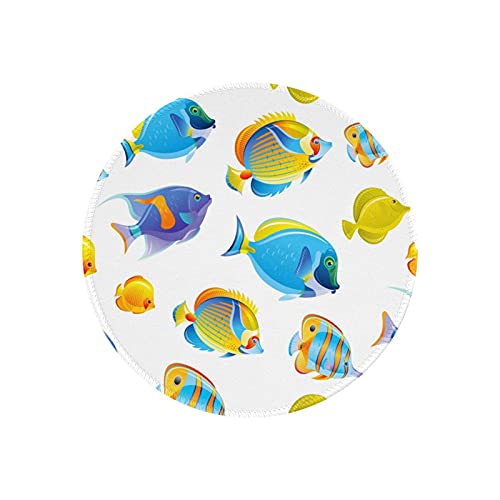 }EXpbh ی^ X  C   h ~ S Q[~O}EXpbh m[gp\R PC Eh}EXpbh fXN}bg ϋvǂ ItBXp rWlXp ƒp Q[p ~` 20cm