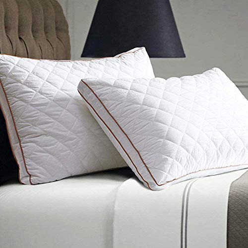 The Best Comfortable Pillows Top 11 Picks in 2022