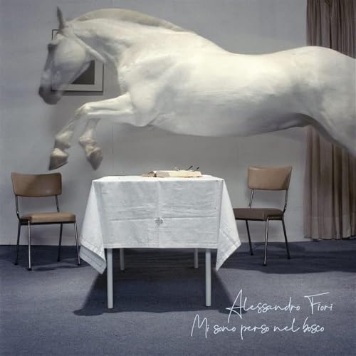 Mi Sono Perso Nel Bosco