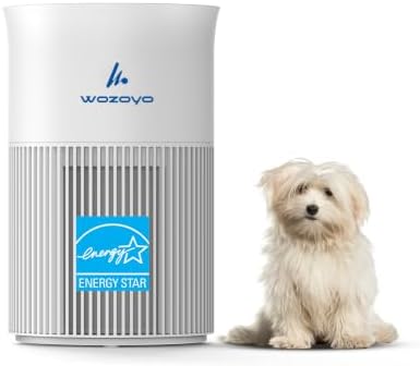 Pure Air PA1 Wozoyo Air Purifier For Bedroom Home, Office, Deskto...