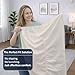 Cottington Lane 1 Piece Sleeper Sofa Fitted Sheet Queen Size, Premium Quality 100% Egyptian Cotton, 6 Inch Deep Sofa Bed/Pullout Couch Bottom Sheet Only, Cooling, Soft & Breathable, Ivory