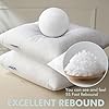 MIULEE Set of 2 Throw Pillow Inserts 12x20 Inches, Nowoven Decorative Pillow Inserts for Living Room