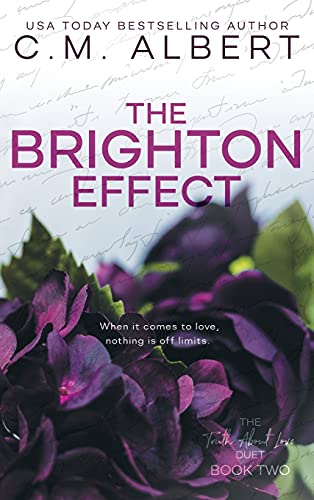 The Brighton Effect view 2