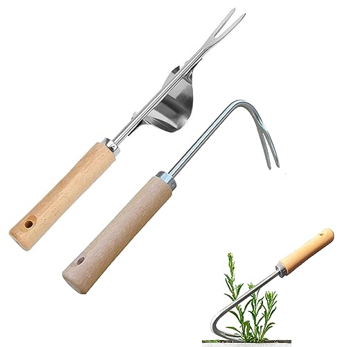 Sarchiatrice Manuale In Acciaio Inox - Con Manico Legno, 33 Cm | Per Giardinaggio, Diserbo, Lavorazione Terreno - Foto 6