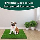 Kunstrasen Hundeklo Balkon Hundetoilette Ersetzen Rasen Welpentoilette Wiederverwendbar Training Pee Pads für Kleine Grosser ältere Hunde für Ältere, Kleine, Grosse Hunde+1 × Schwarze Faltschale