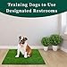 Kunstrasen Hundeklo Balkon Hundetoilette Ersetzen Rasen Welpentoilette Wiederverwendbar Training Pee Pads für Kleine Grosser ältere Hunde für Ältere, Kleine, Grosse Hunde+1 × Schwarze Faltschale