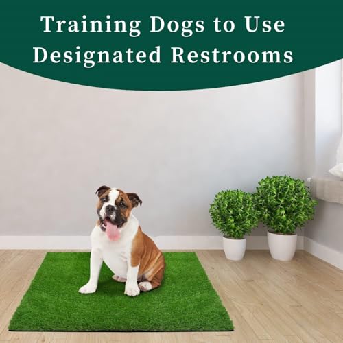 Kunstrasen Hundeklo Balkon Hundetoilette Ersetzen Rasen Welpentoilette Wiederverwendbar Training Pee Pads für Kleine Grosser ältere Hunde für Ältere, Kleine, Grosse Hunde+1 × Schwarze Faltschale