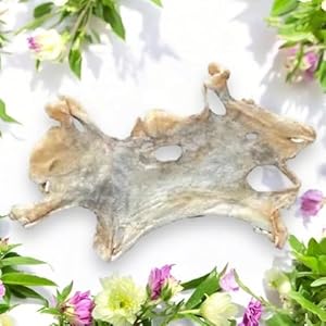 X-Class Ziegen-Kopfhautplatte 1kg Zahnpflege-Snack