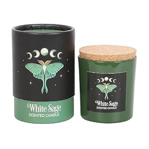 Luna Mot Witte Salie Kaars – Heilige Wezens in Dark Forest Realms | Veganistische Paraffine | 25 uur brandtijd | Kalmerende aromatherapie voor huiselijke sfeer