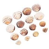 Coquillages pour l'artisanat : petites coquilles pour la décoration intérieure et le bricolage. il peut également être ajouté directement à l'eau pour décorer l'aquarium.