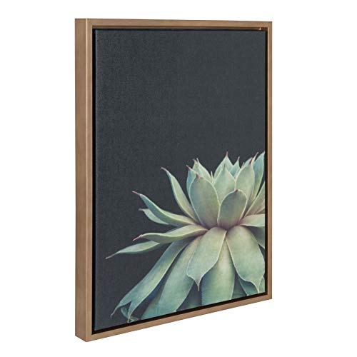 Kate And Laurel Sylvie Succulent Plant Framed Canvas Wall Art, Botanical Green With Black Background, 18X24 Gold #TOP1