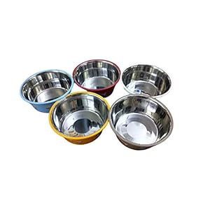 ELTON Paw & Bone Cutie Bowls Buy Set of 4 Bowls (Large) for Rs.1676/- and get Set of 2 Standard Feeding Bowls Worth Rs.249/- Free (Medium)