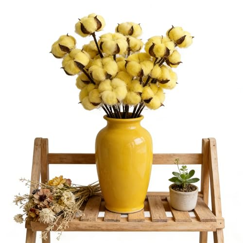10 Piezas Flores de Algodón Secas para Decoración miniatura 6