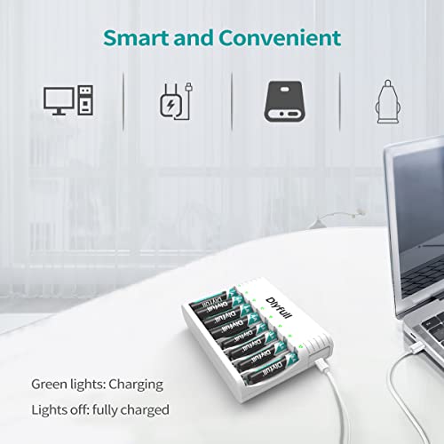Dlyfull 8 Bay Aa Aaa Battery Charger With Type-C High-Speed Charging, Independent Slot For Ni-Mh Ni-Cd Rechargeable Batteries, Cable Included #TOP4