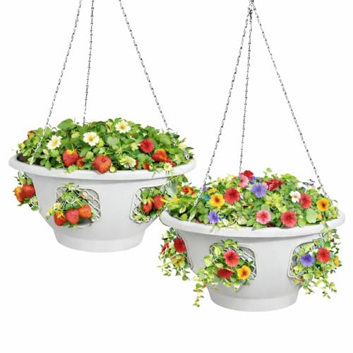 Ultimate Hanging Baskets - Strawberry, Tomato, Flower, and Herb Outdoor