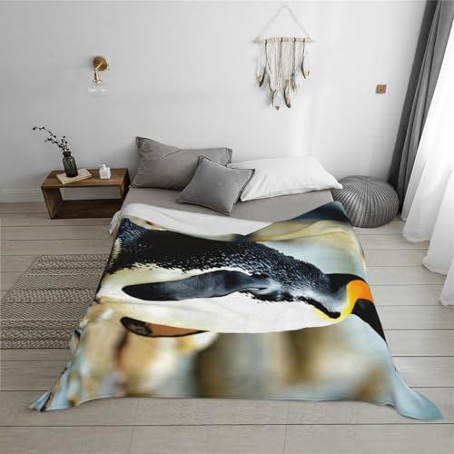 Couverture flanelle super douce pingouin idée cadeau lit et canapé - 6