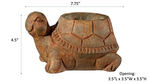 Classic Home and Garden Cement Buddies Indoor Outdoor Planter with Drainage Hole, Turtle, Rust, Large, 8in - Image 4