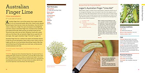 Growing Tasty Tropical Plants in Any Home, Anywhere: (like lemons, limes, citrons, grapefruit, kumquats, sunquats, tahitian oranges, barbados ... black pepper, cinnamon, vanilla, and more...) - Thumbnail 4