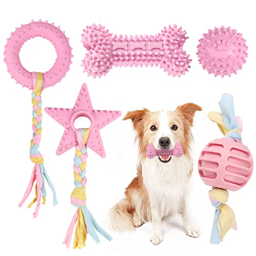 Juguetes Perros Cachorros Marca Orangeone