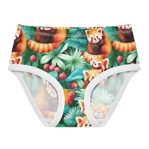 Joisal Toddlers Underwear Floral 2t Cotton Little Girl Panties Fun Underpants Briefs Cute Raccoon Green Leaves - Main Image