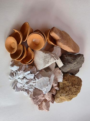 Natural Ceramic Clay Assortment – 8 Types for Sculpting, Pottery and Artistic Craft Use