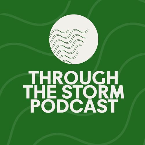 Through the Storm cover art