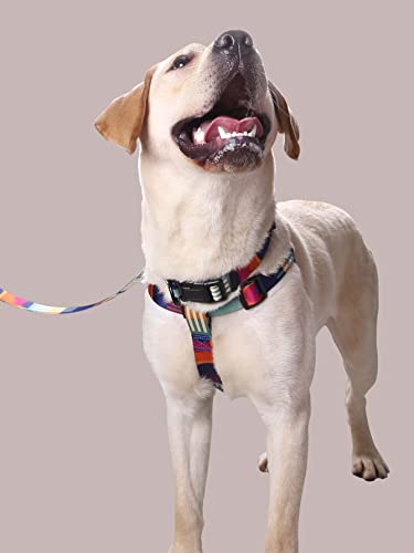 Qwinee 3Pcs Geometric Pattern Cat Dog Harness & Leash & Collar Pet No Pull Step-In Harness With Leash Escape Proof Harness Vest For Puppy Small Medium Large Dogs Cats Orange Small #TOP3