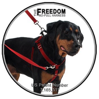 Freedom No-Pull Harness 1" XXLG Raspberry ONLY- Direct from Inventor