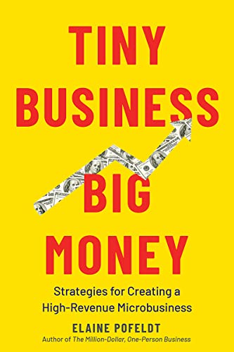Tiny Business, Big Money: Strategies for Creating a High-Revenue Microbusiness (English Edition)
