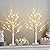 Vanthylit White Birch Tree with LED Lights - Set of 2, LED Tabletop Tree with Timer, Christmas Decorations Lighted Tree for Indoor Mantel Home Decor (2 FT, 24 LED)