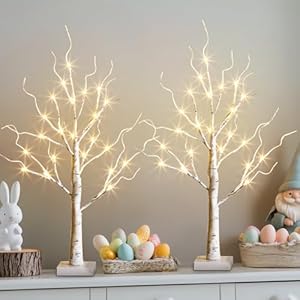 Vanthylit White Birch Tree with LED Lights - Set of 2, LED Tabletop Tree with Timer, Christmas Decorations Lighted Tree for Indoor Mantel Home Decor (2 FT, 24 LED) Vanthylit White Birch Tree with LED Lights Set of 2 LED Tabletop Tree with Timer Christmas Decorations Lighted Tree for Indoor Mantel Home Decor 2 FT 24 LED