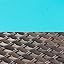 Brown/Blue