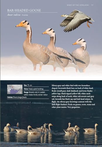 Image of Birds of the Himalayas: A Photographic Field Guide | Biodiversity of Northeast India | Nature Photography | Mountain and Hill Ecosystems | Nature Photography