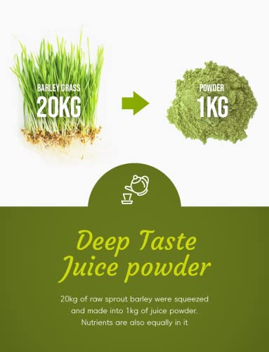 Adderenity Korean Barley Sprout Grass Juice Powder, Stick Type 1G X 100 Sticks, 3.52Oz #TOP4