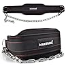 Dip belt With 37-40″ Chain, 550lbs – 650lbs Weight Capacity, Weightlifting Belt for Dips and Pullups