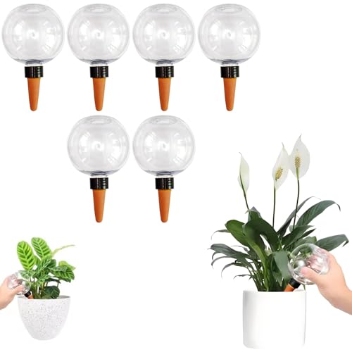Boules d’Arrosage Plante 500ml | Arrosage Automatique Transparent pour Intérieur Extérieur | Globe Irrigation Autonome avec Cône d’Écoulement | Distributeur d’Eau Plantes Maison Jardin (6 pièces)
