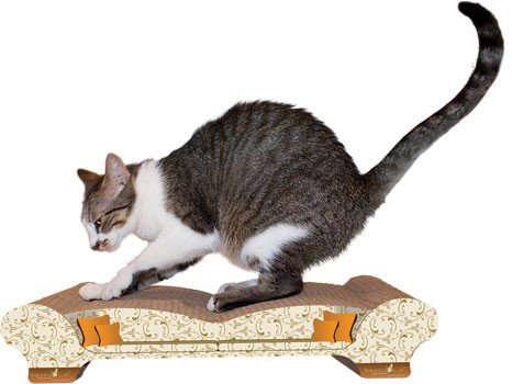 Imperial Cat Love Seat Scratch 'n Shape. Paisley