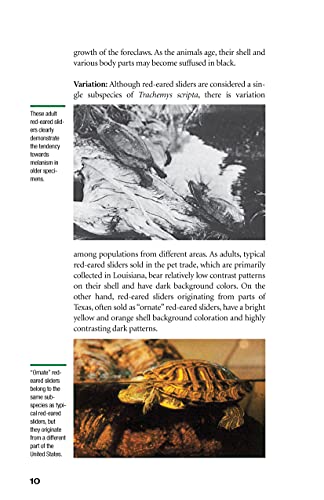 Red-Eared Sliders: From the Experts at Advanced Vivarium Systems (CompanionHouse Books) Choosing a Turtle, Diet, Housing, Breeding, Health, and Painted, Mud, and Musk Turtles - Image 5