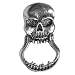 BIKER SUNGLASSES HOLDER PIN SKULL