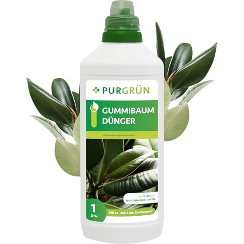 Purgrün® Gummibaum-Dünger 1 Liter – Glänzende Blätter und gesundes Wachstum dank Guano – Vollumfängliche Versorgung mit Spurennährstoffen – Ergiebiger Grünpflanzendünger für ca. 400 Liter Gießwasser