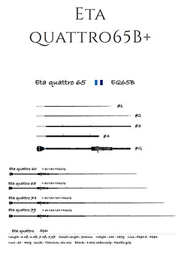 yTRANSCENDENCE/gXZfXz Eta quattro 65B+ / C[^Ng